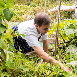 Chef-Jimmy-picking-herbs-from-Jeremy's-garden-cut