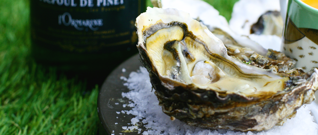 Oyster-wine