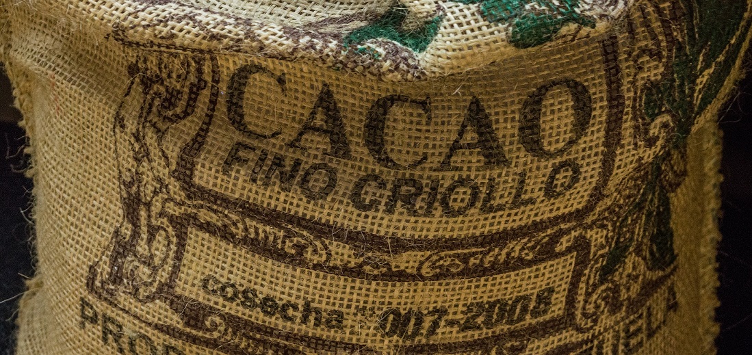 Fine criollo chocolate beans Chocolate Week on Title Sussex Magazine www.titlesussex.co.uk