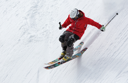 freerider-498473