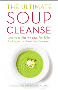 Recipesoupbook-cover