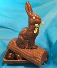 Moo-Coco-hare-on-log