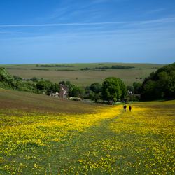SD-OEDCV-Walking-near-East-Dean