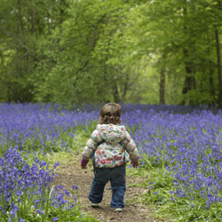 toddler-439112_1920