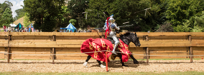 International-Jousting-Tournament-2015_PhotoCredit_VictoriaDawe