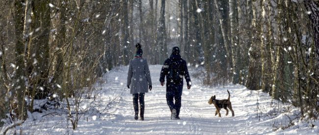 couple-walking