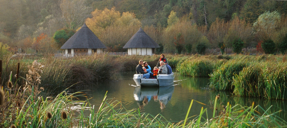 Arundel reedbeds