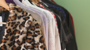 fur clothing coat