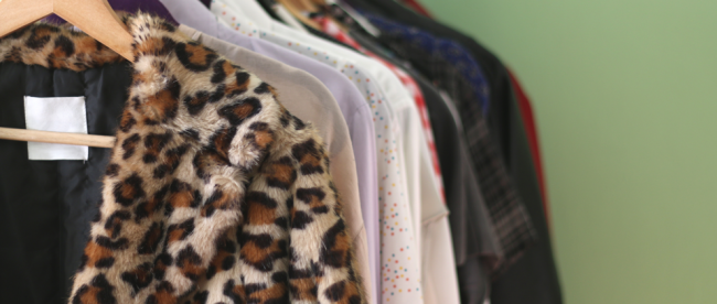 fur clothing coat