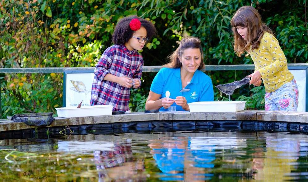 Pond Dipping on Title Sussex Magazine www.titlesussex.co.uk