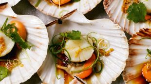 Steamed scallops in the shell with ginger Title Sussex Magazine www.titlesussex.co.uk