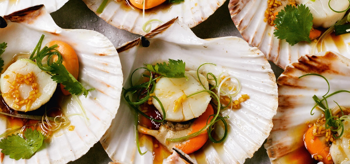 Seafood recipe scallops with ginger, soy and spring onions