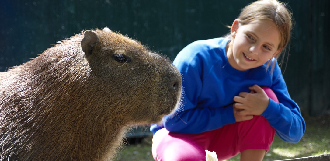 Zookeeper for a Day at Drusillas Title Sussex Magazine www.titlesussex.co.uk