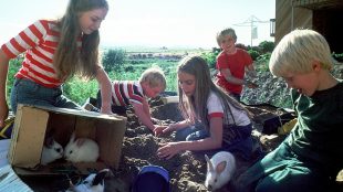 10 Free things to do in Sussex with kids on Title Sussex Magazine www.titlesussex.co.uk