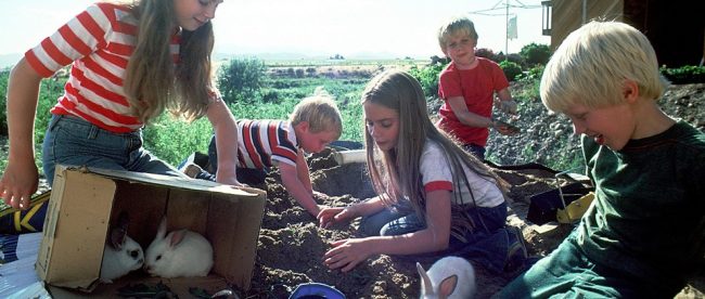 10 Free things to do in Sussex with kids on Title Sussex Magazine www.titlesussex.co.uk 10 Free things to do in Sussex with kids on Title Sussex Magazine www.titlesussex.co.uk