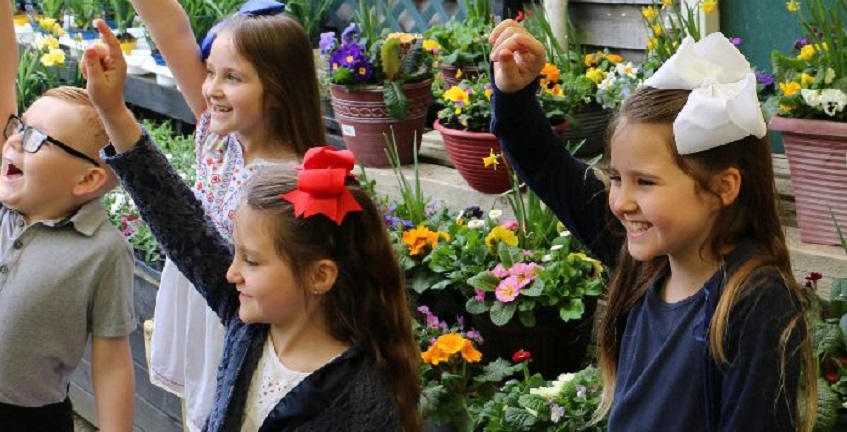 Free garden trail at Notcutts Garden Centre Ditchling Title Sussex Magazine www.titlesussex.co.uk