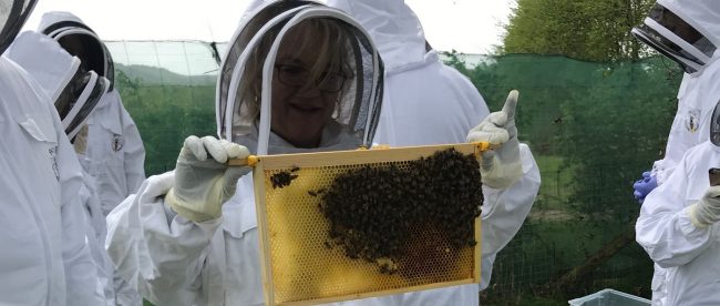Me holding bees at Albourne Estate bee experience review on Title Sussex Magazine www.titlesussex.co.uk Sam Harrington-Lowe holding bees at Albourne Estate bee experience review on Title Sussex Magazine www.titlesussex.co.uk