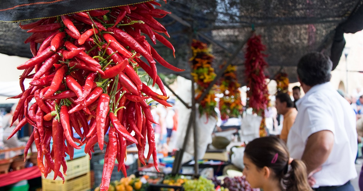 Chilli Fiesta 2019 Summer Festivals on Title Sussex Magazine www.titlesussex.co.uk