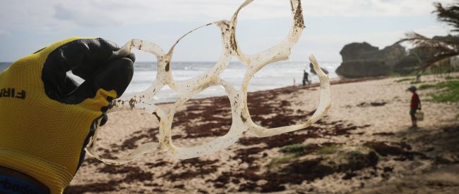 Plastic rings at beach clean for Title Sussex www.titlesussex.co.uk