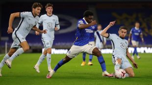 Amex early season report on Title Sussex Magazine Seagulls v Chelsea www.titlesussex.co.uk