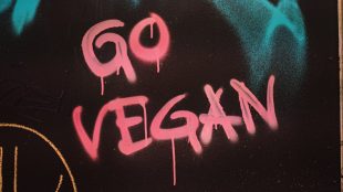 go vegan graffiti in pink on the wall - article for title sussex www.titlesussex.co.uk (002)
