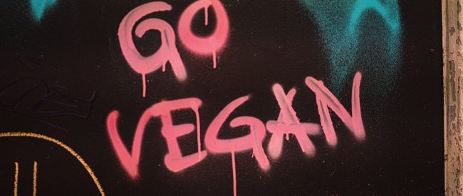 go vegan graffiti in pink on the wall - article for title sussex www.titlesussex.co.uk (002) go vegan graffiti in pink on the wall - article for title sussex www.titlesussex.co.uk (002)
