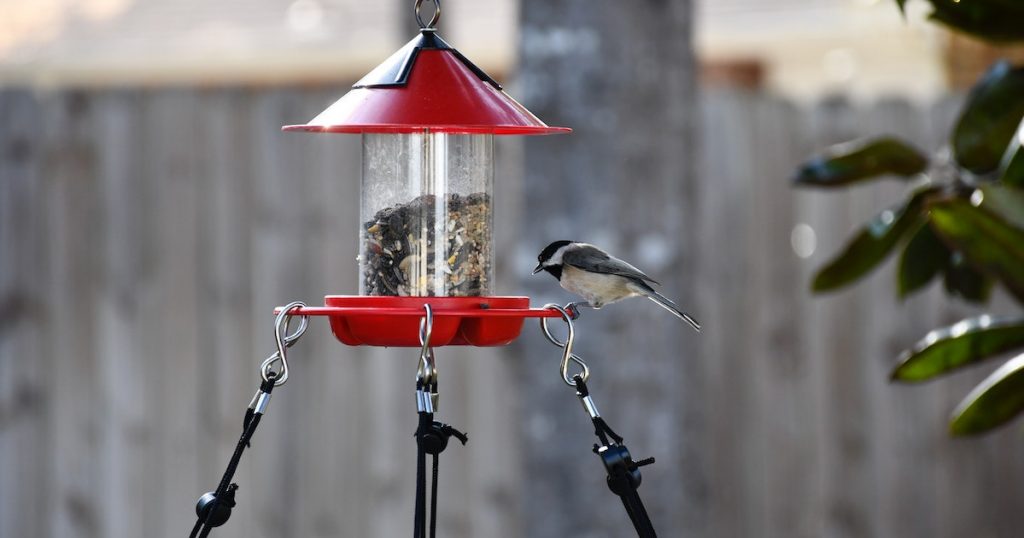 How to help wildlife in the heat - www.titlesussex.co.uk