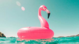 Image shows inflatable flamingo floating in a summery sea