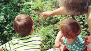 Image shows grandmother and small children, learning about gardening from her