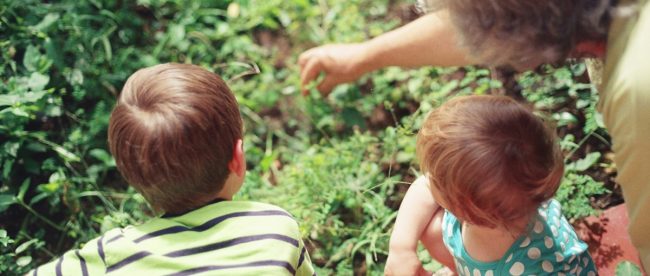 Image shows grandmother and small children, learning about gardening from her