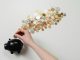 money spread all over surface coming out of a piggy bank and a hand putting money into the piggy bank