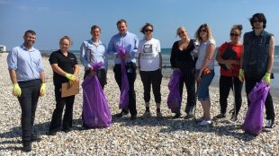 Sussex Wildlife Trust business members taking part in a Wild Work Day beach clean at Bracklesham Bay - Title Sussex - https://titlesussex.co.uk